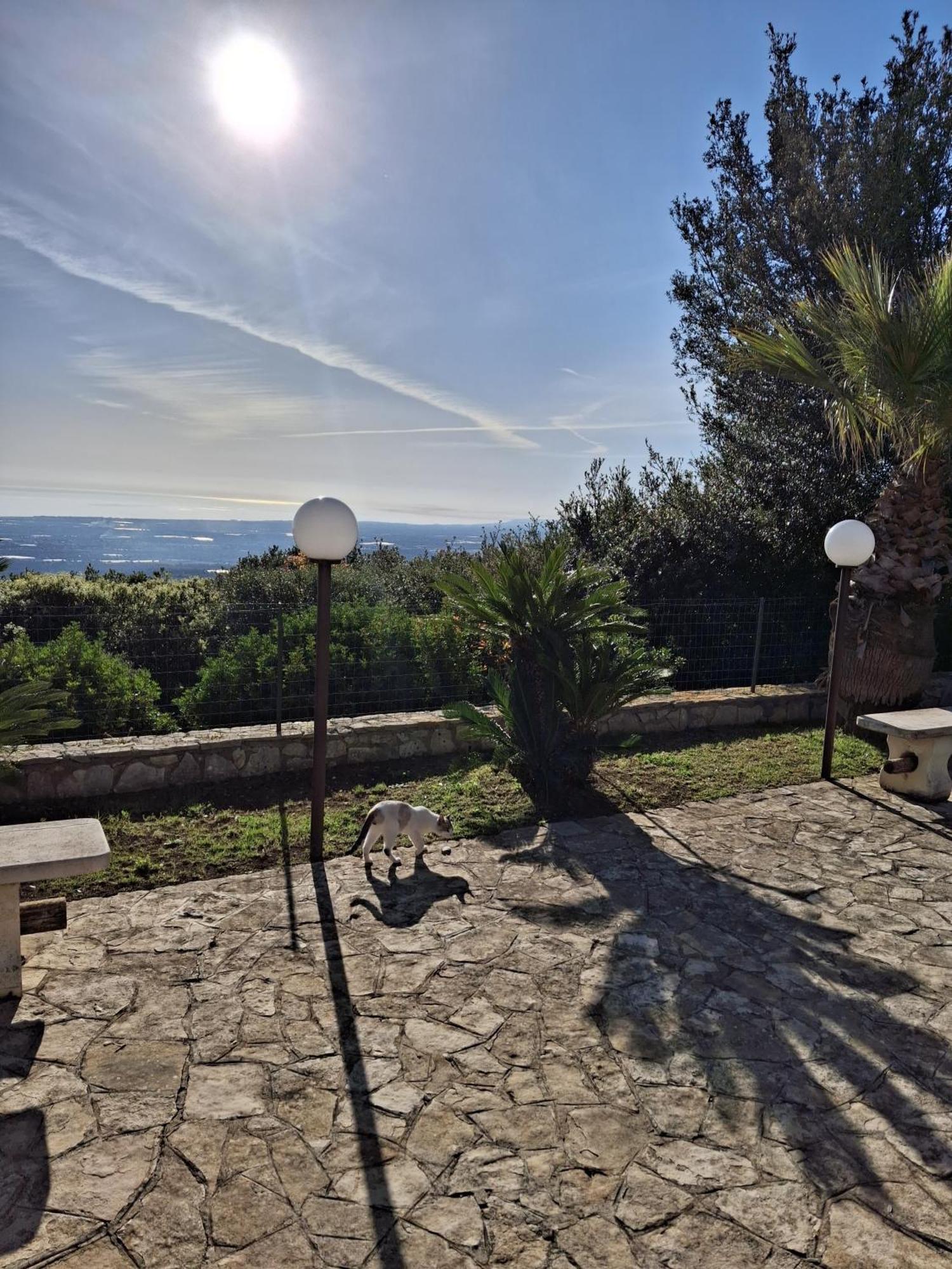 Villa Maremonti Monopoli Exterior foto